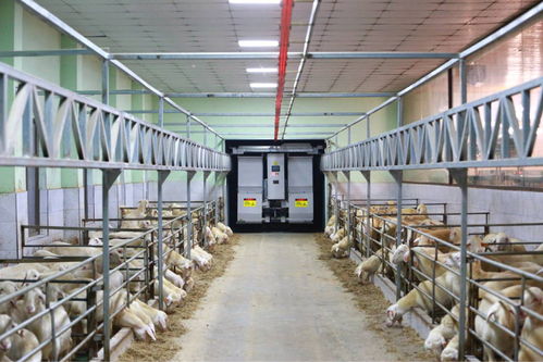 農業“雙強”行動結碩果，浙江農業生產更高效，集裝箱租賃助力產業升級